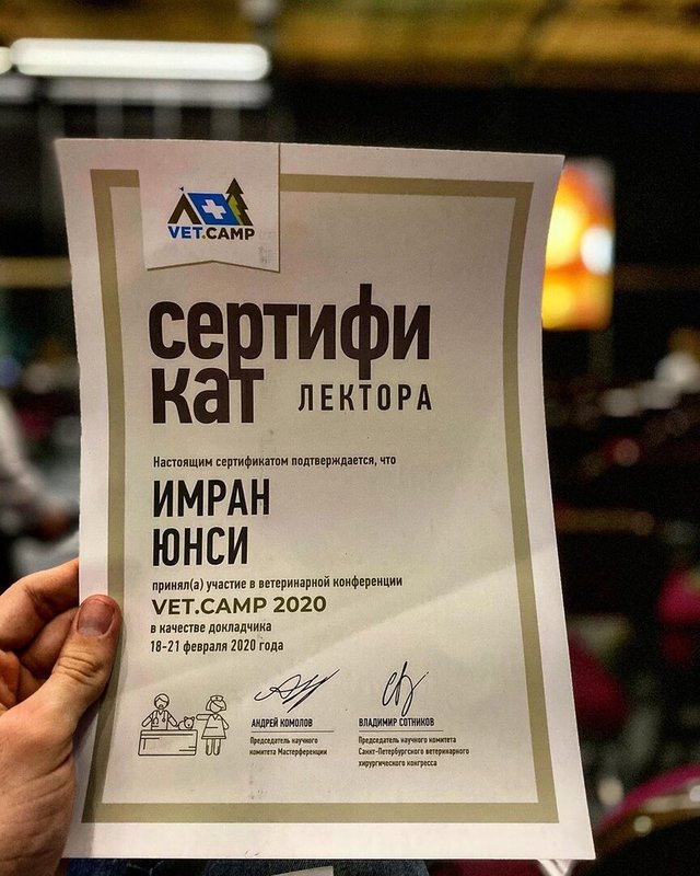 Документ или сертификат