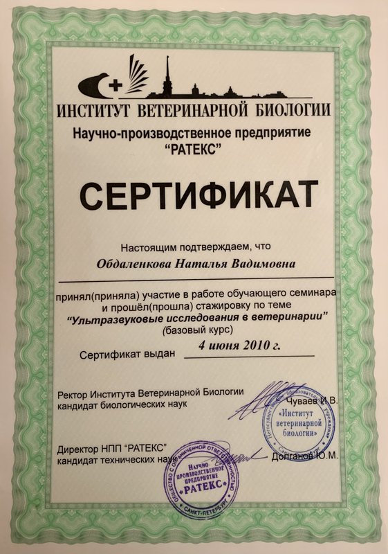 Документ или сертификат