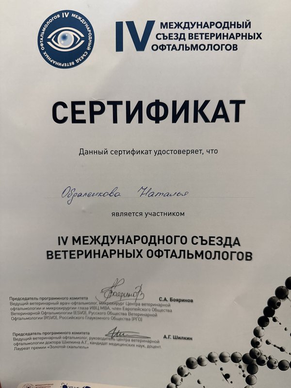 Документ или сертификат
