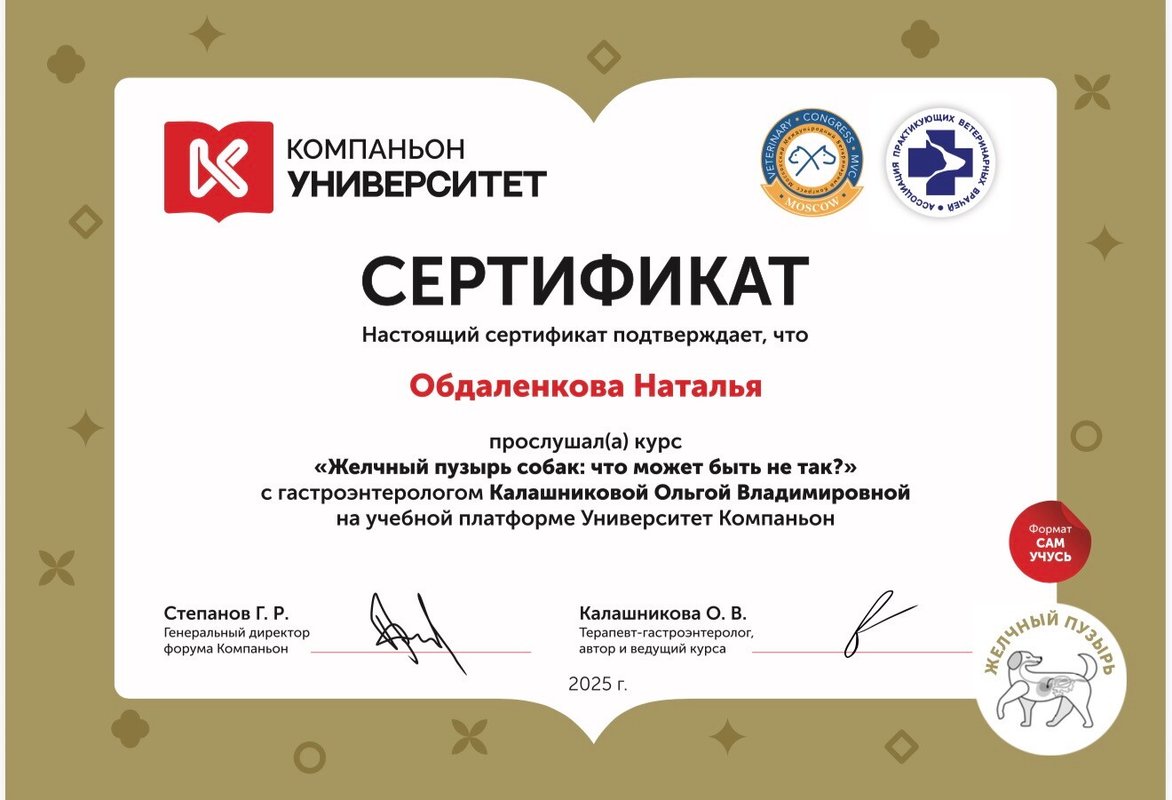 Документ или сертификат
