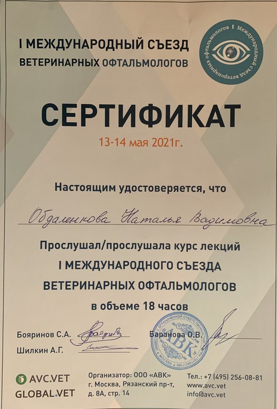 Документ или сертификат
