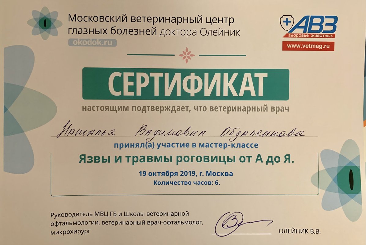 Документ или сертификат