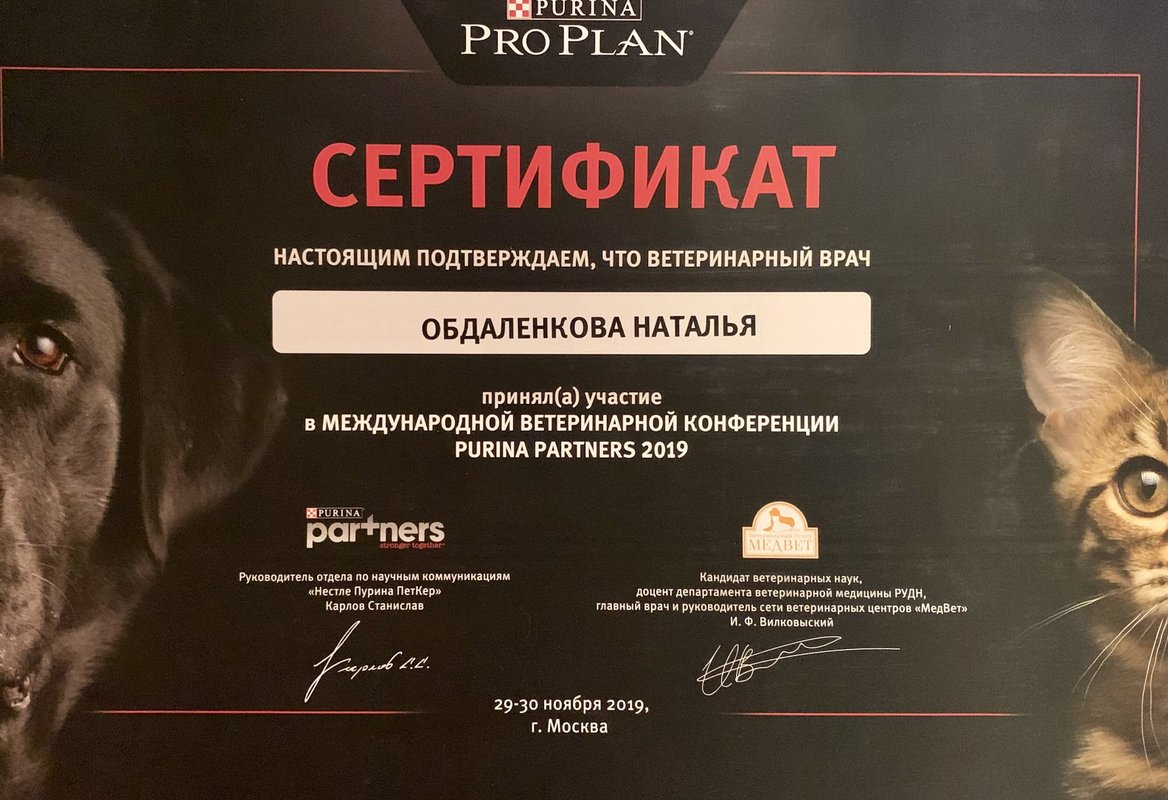 Документ или сертификат