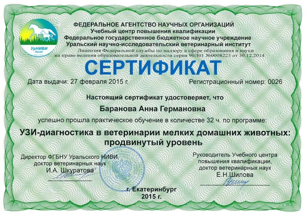 Документ или сертификат