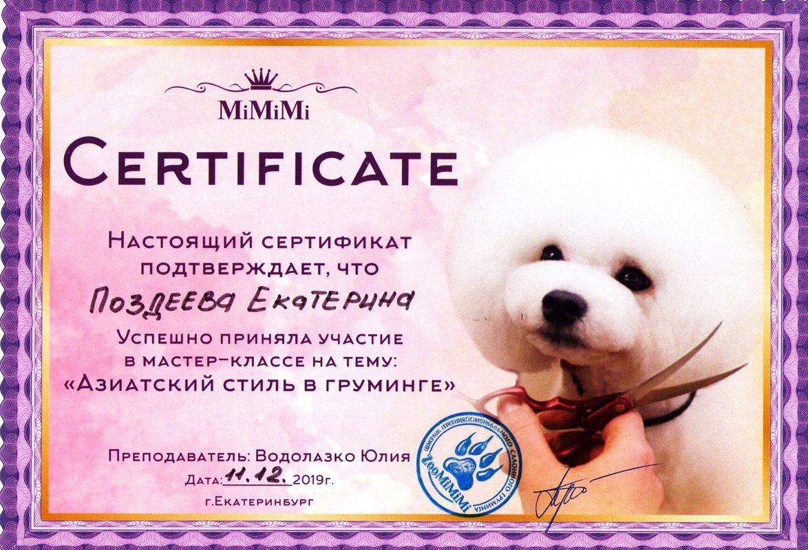 Документ или сертификат
