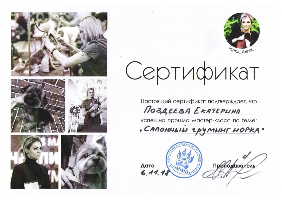 Документ или сертификат