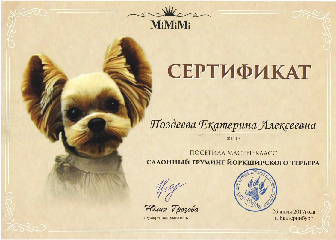 Документ или сертификат
