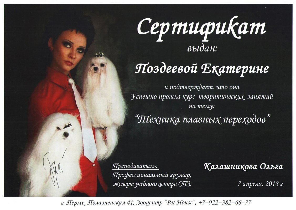 Документ или сертификат