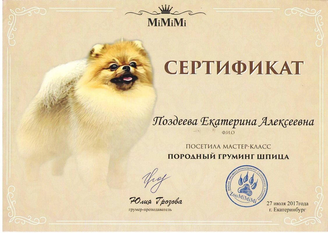 Документ или сертификат