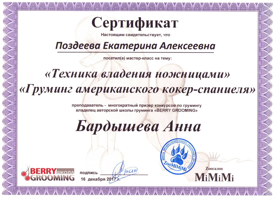 Документ или сертификат