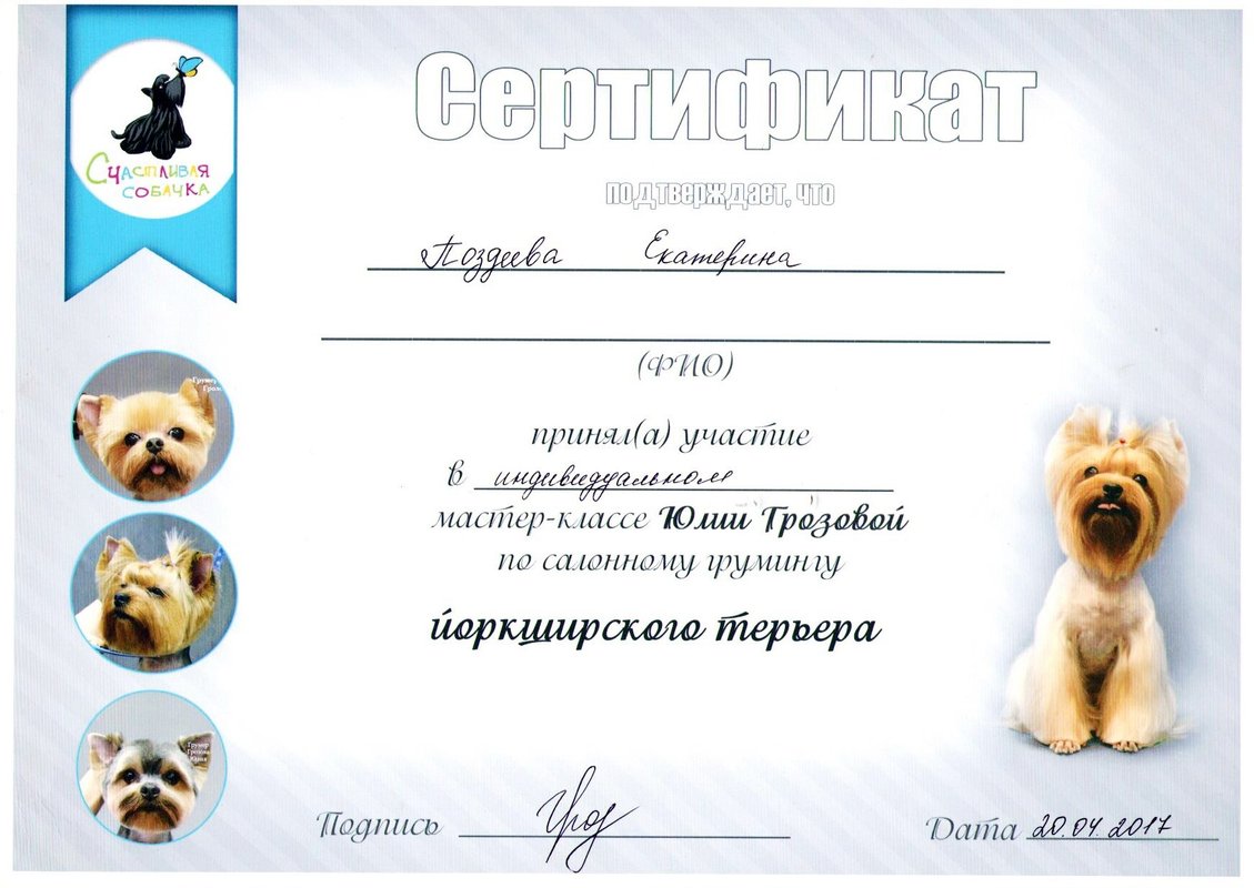Документ или сертификат