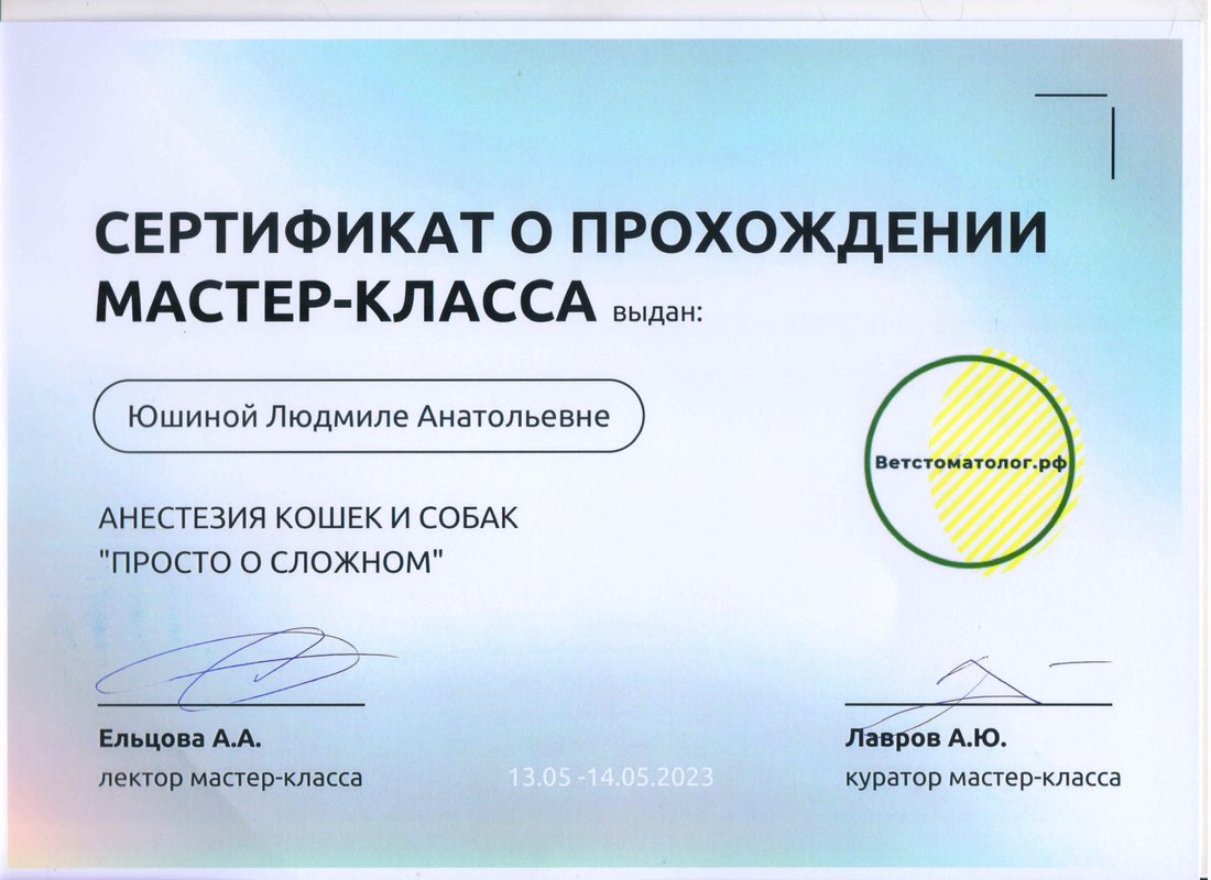 Документ или сертификат