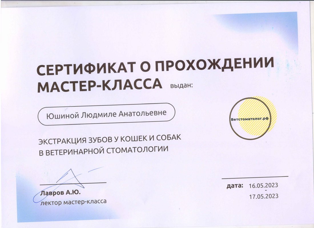 Документ или сертификат