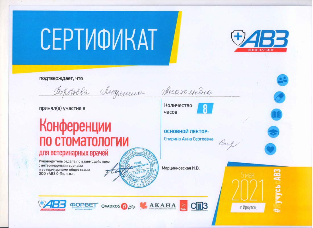 Документ или сертификат