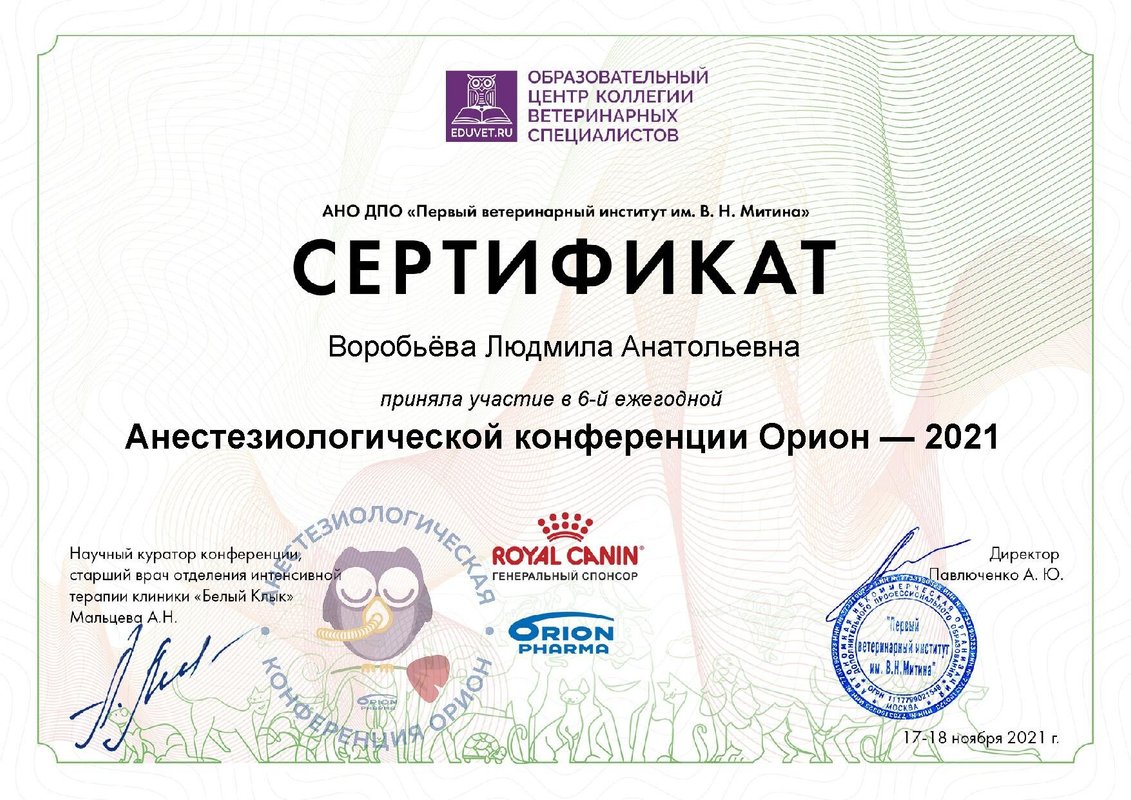 Документ или сертификат