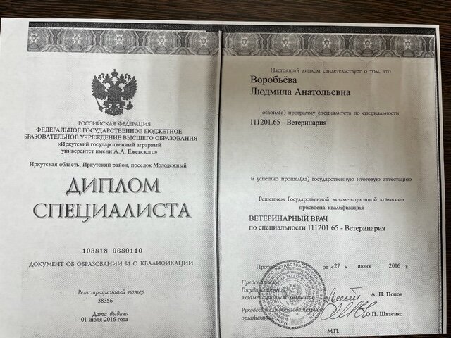 Документ или сертификат