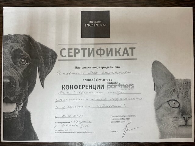 Документ или сертификат