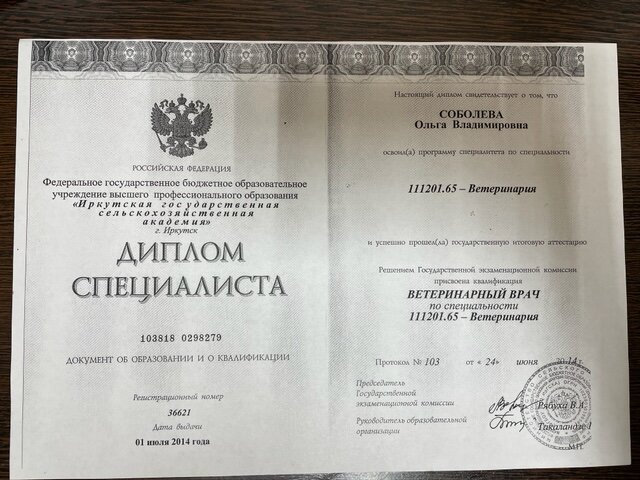Документ или сертификат