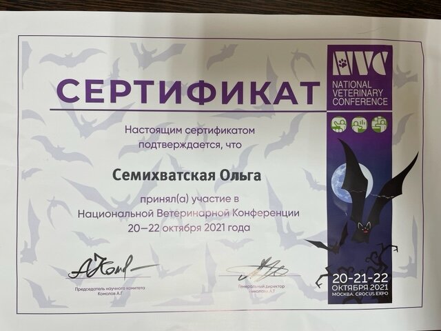Документ или сертификат