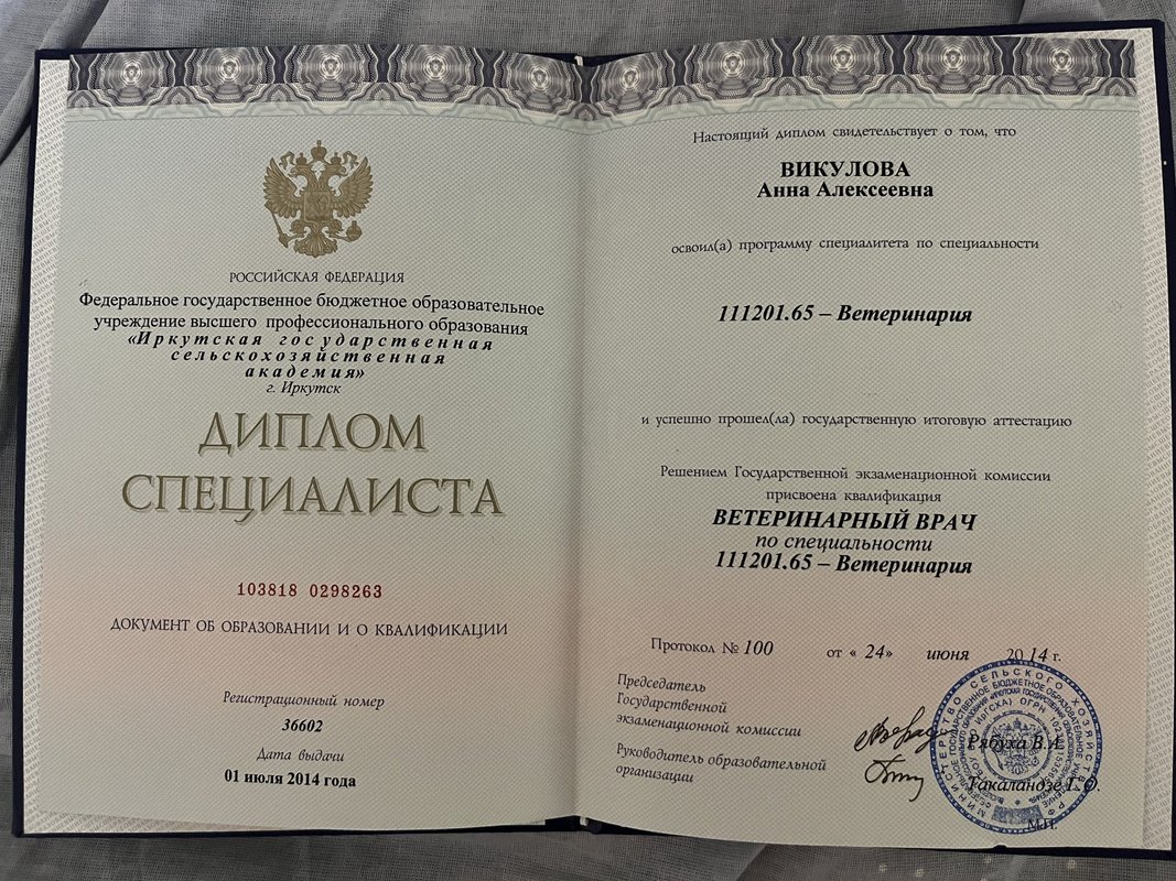 Документ или сертификат