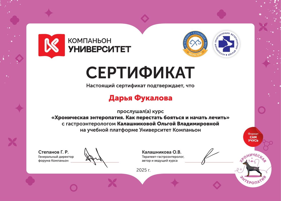 Документ или сертификат