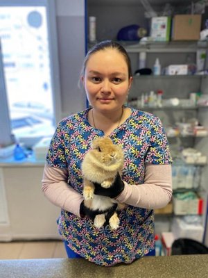 Фото врача Клименко Наталья Игоревна