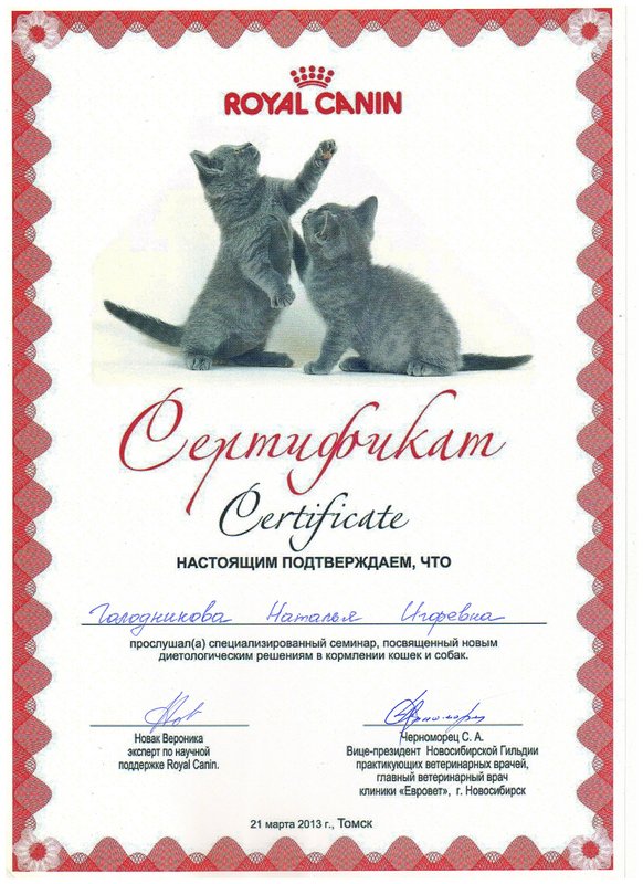 Документ или сертификат