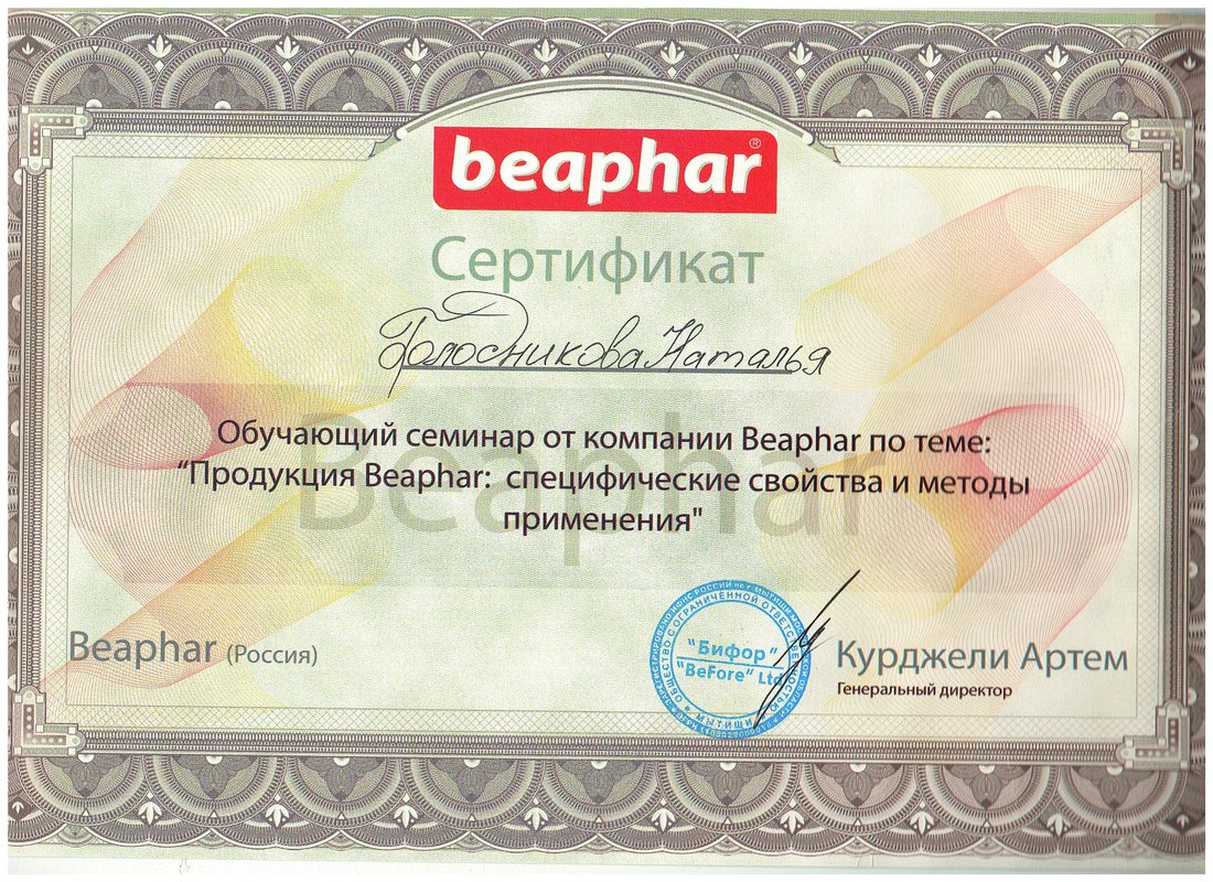 Документ или сертификат