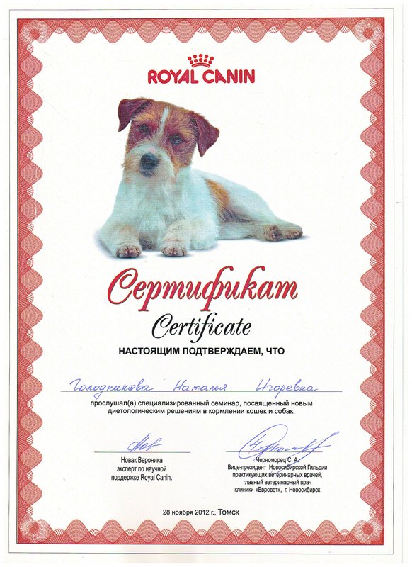 Документ или сертификат