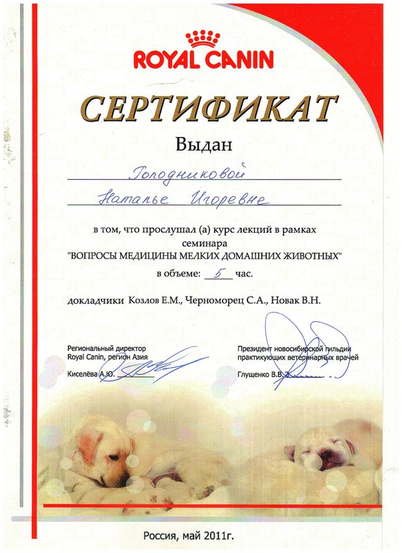 Документ или сертификат