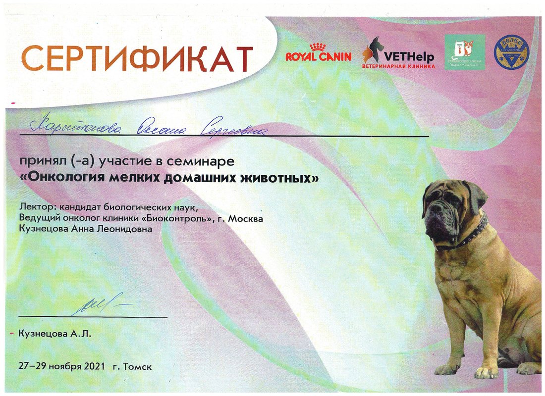 Документ или сертификат