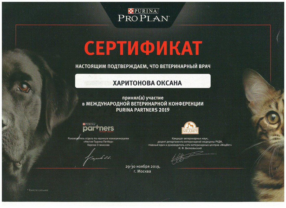 Документ или сертификат