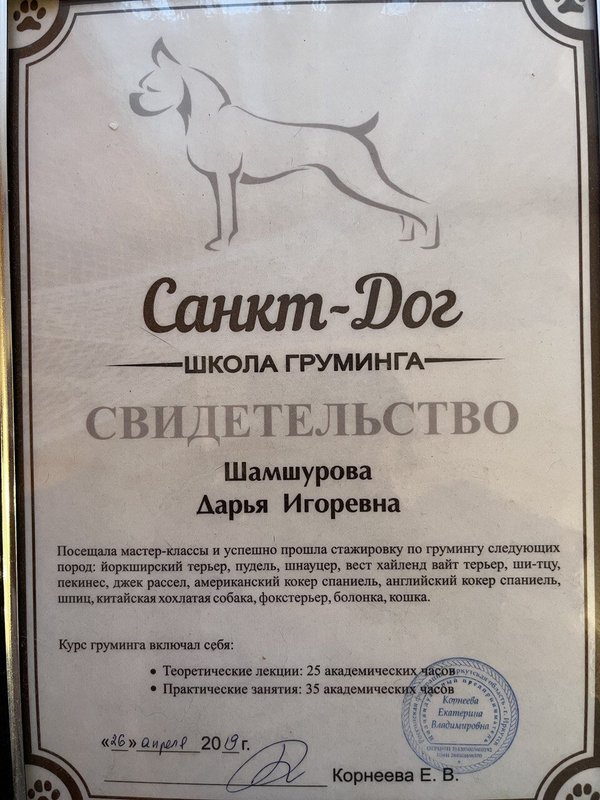 Документ или сертификат
