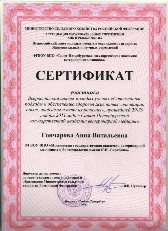 Документ или сертификат