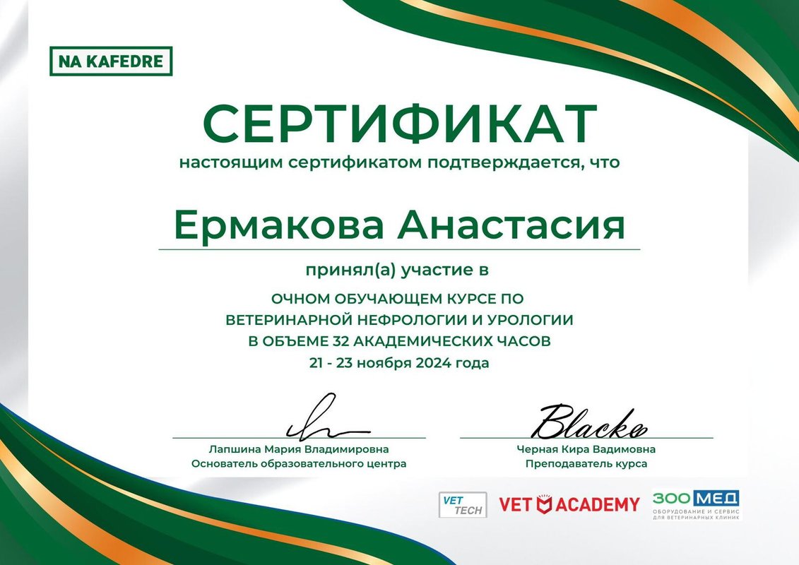 Документ или сертификат