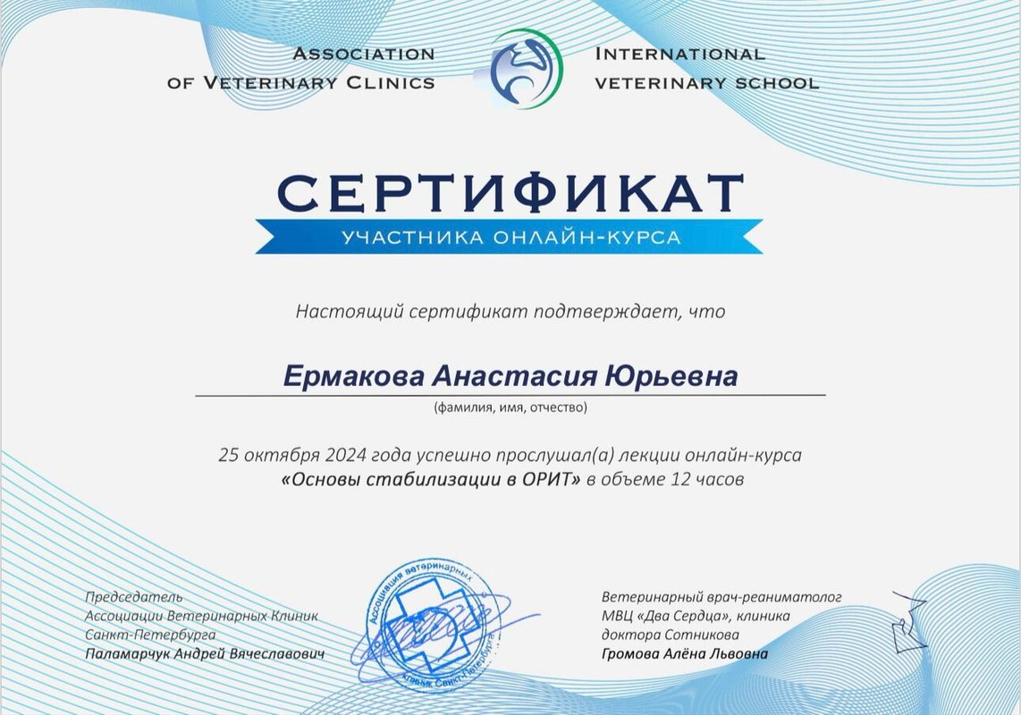 Документ или сертификат