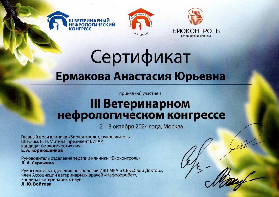 Документ или сертификат