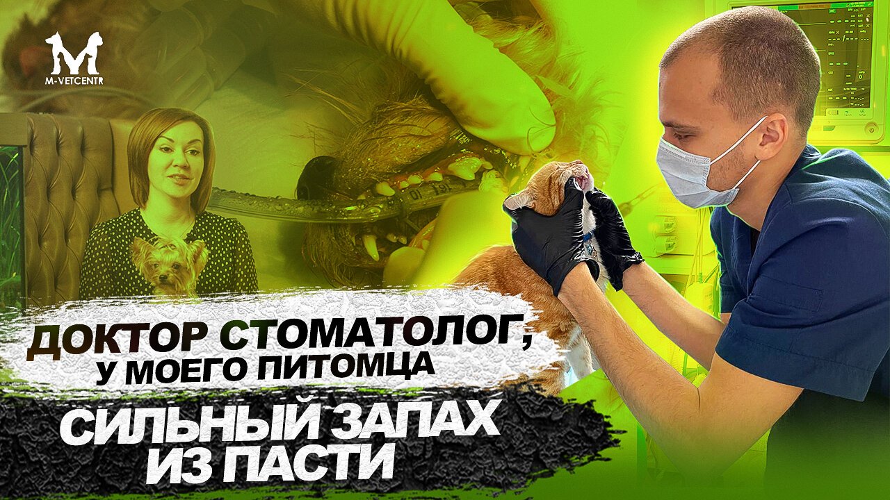 Фото врача