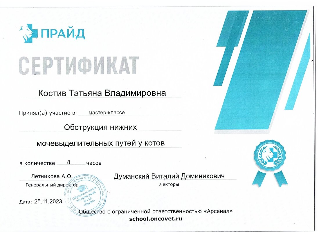 Документ или сертификат