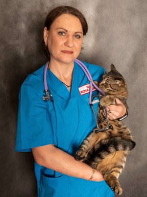 Фото врача Жиркова Елена Николаевна
