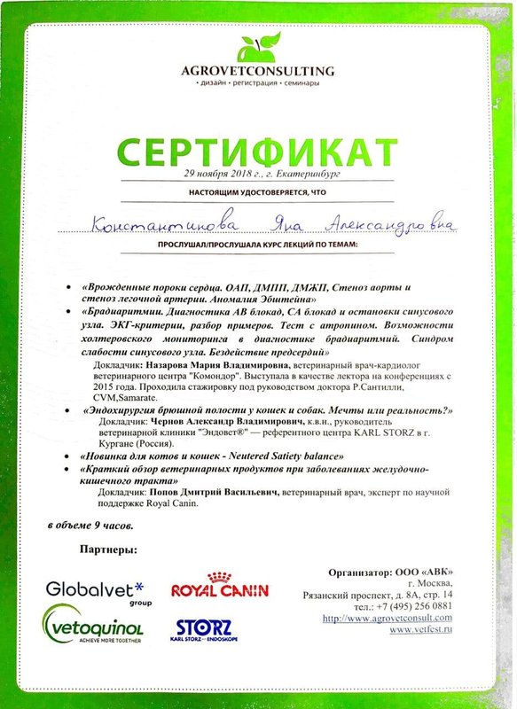 Документ или сертификат