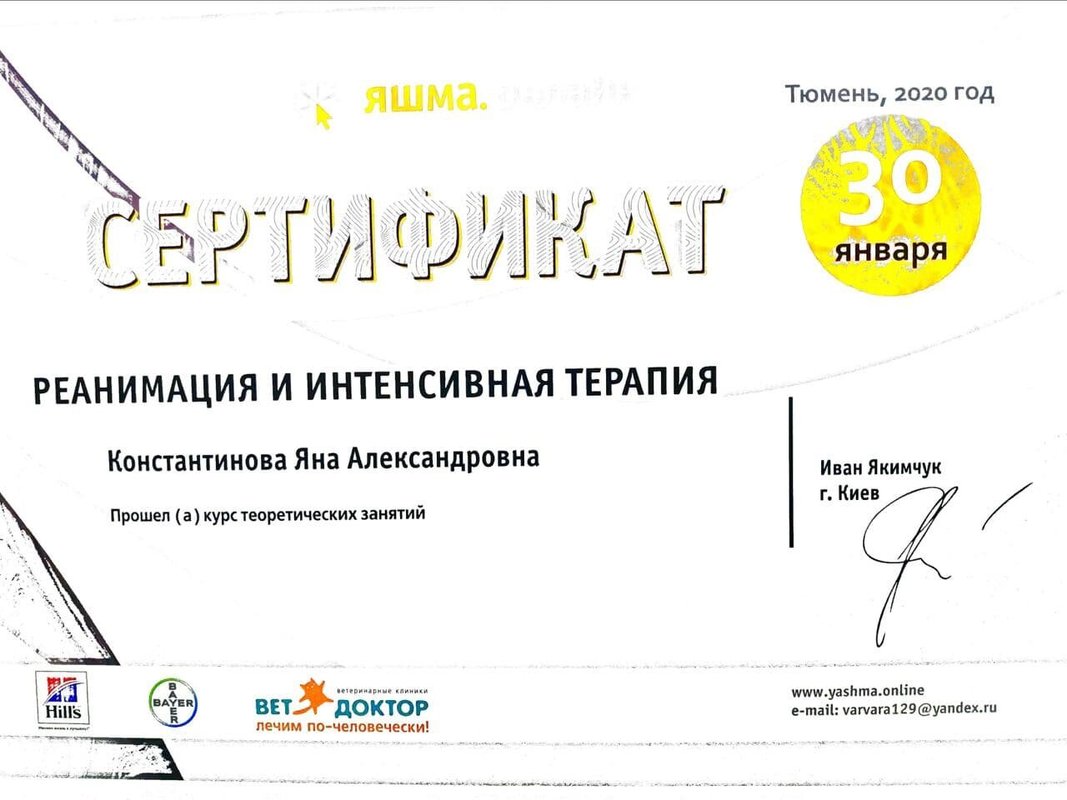 Документ или сертификат