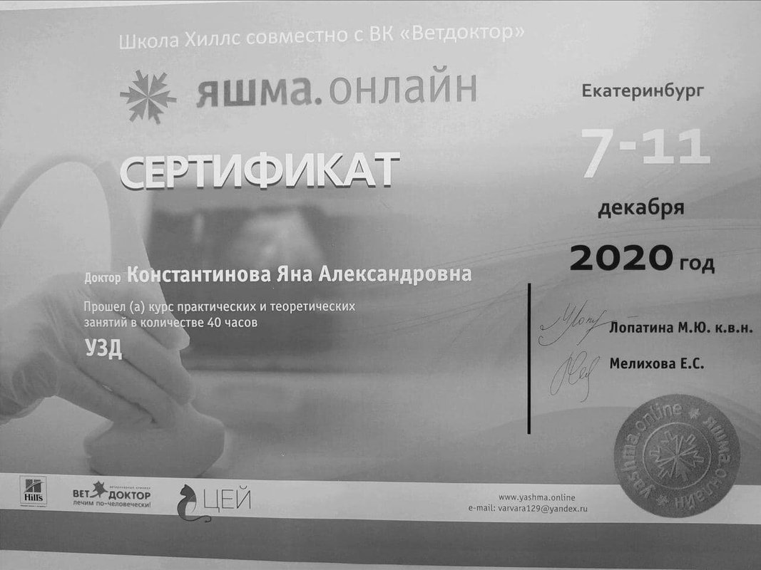 Документ или сертификат