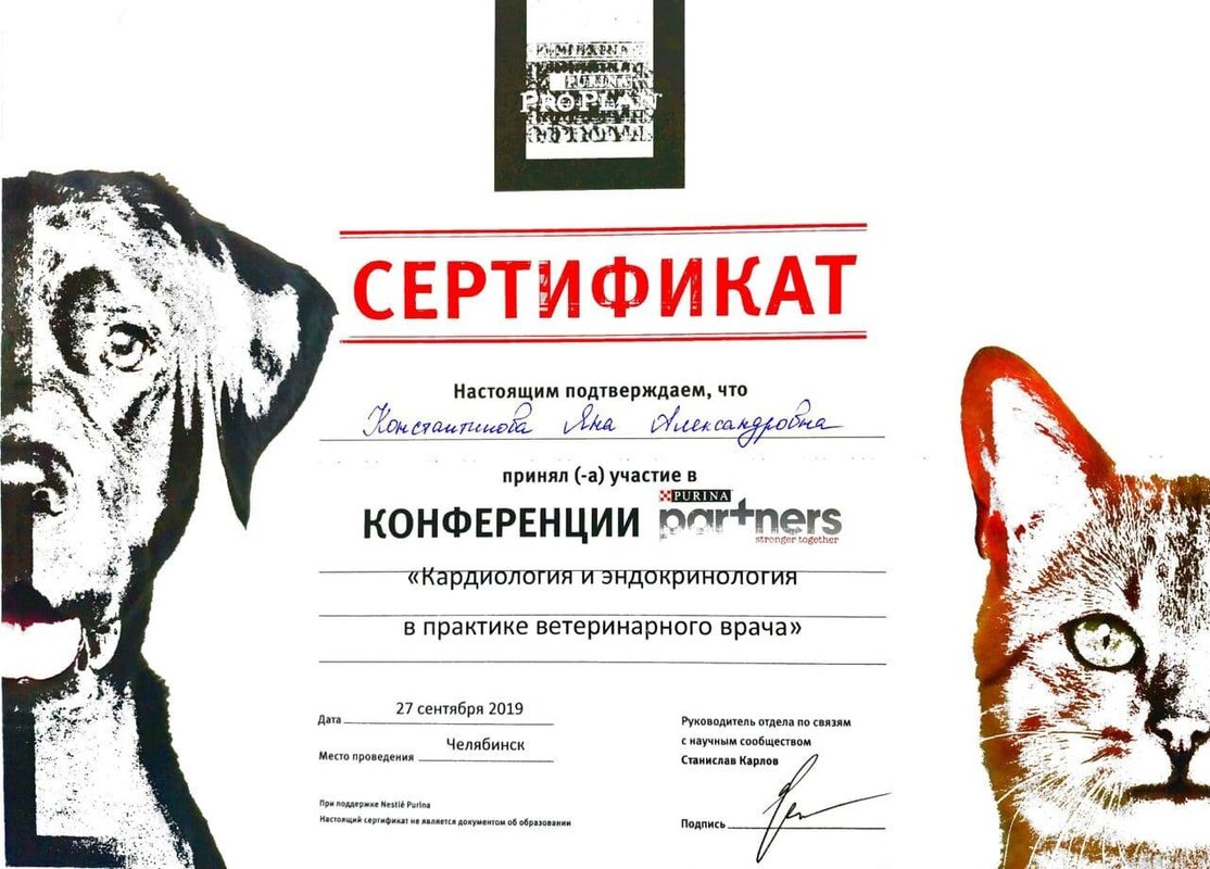 Документ или сертификат