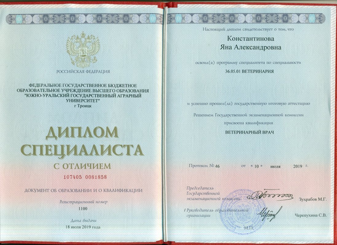 Документ или сертификат