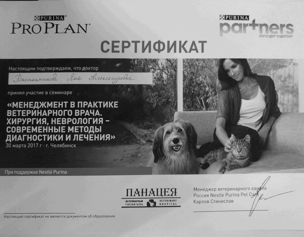 Документ или сертификат
