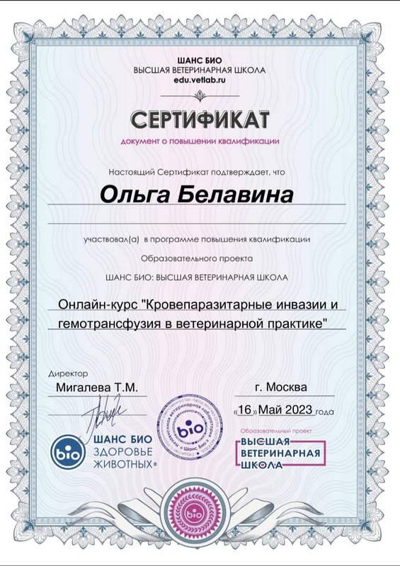 Документ или сертификат