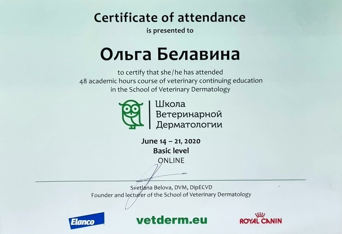 Документ или сертификат