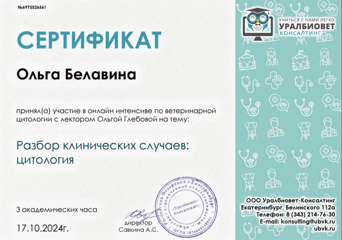 Документ или сертификат