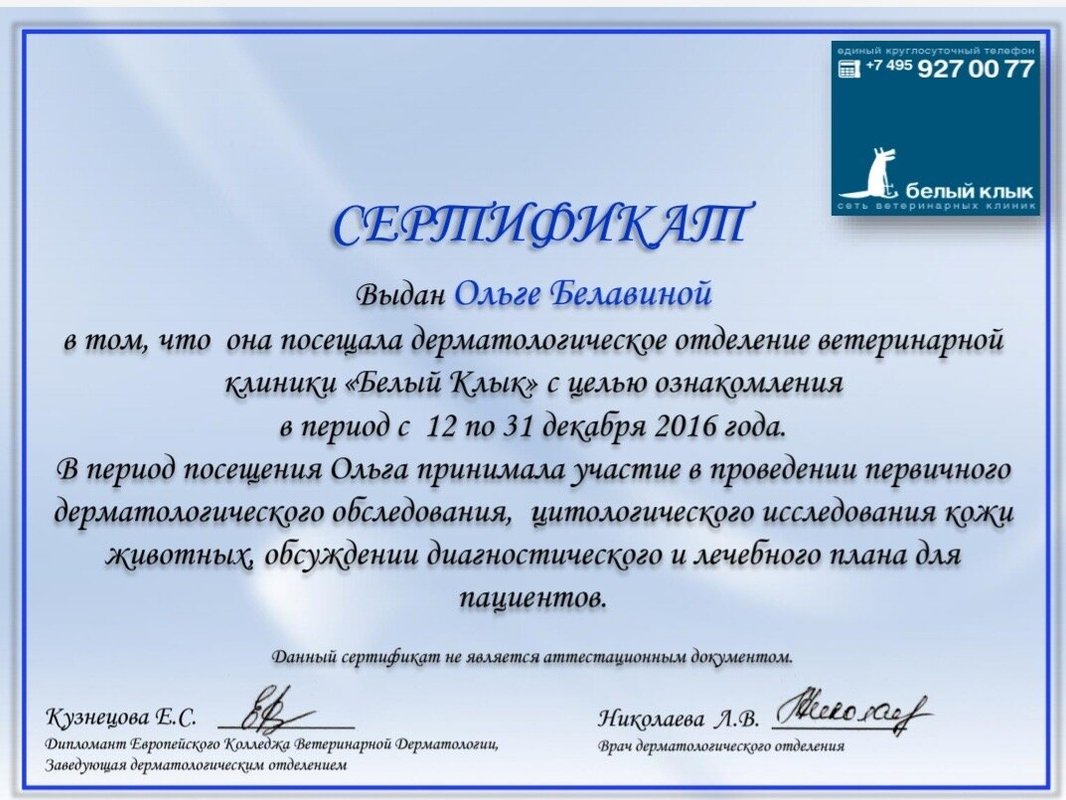 Документ или сертификат